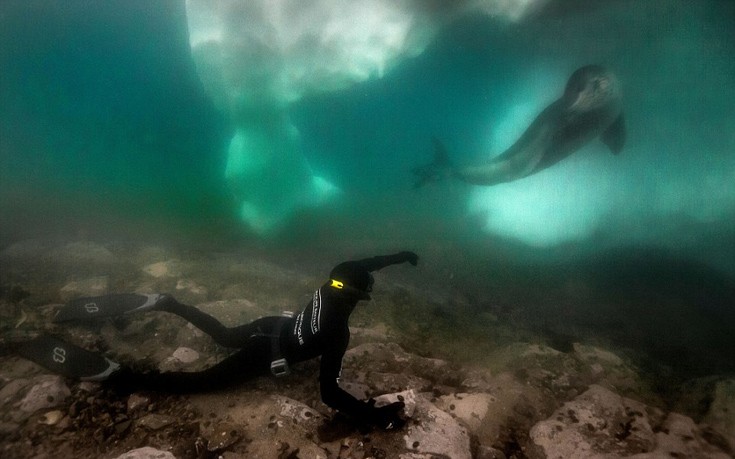 Antarctic6 Antarctic6