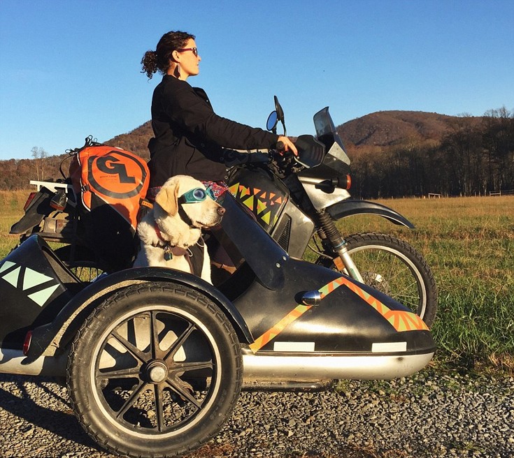 Mallory_dog3 Mallory_dog3