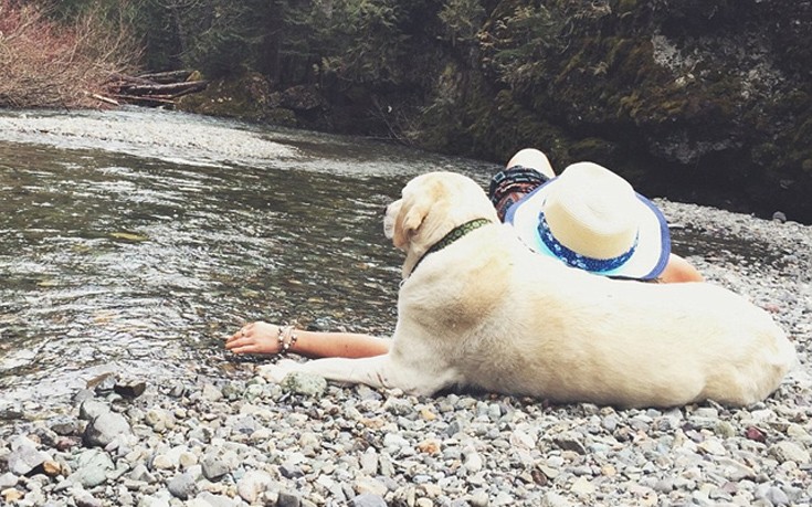 Mallory_dog4 Mallory_dog4