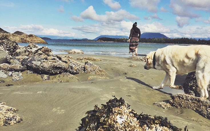 Mallory_dog8 Mallory_dog8