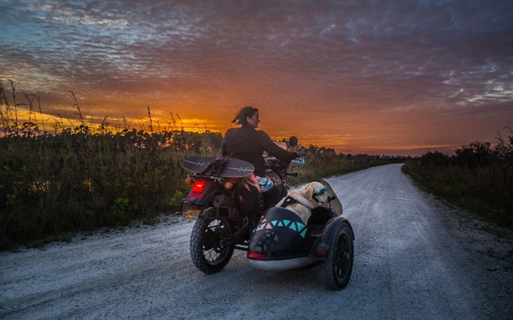 Mallory_dog9 Mallory_dog9