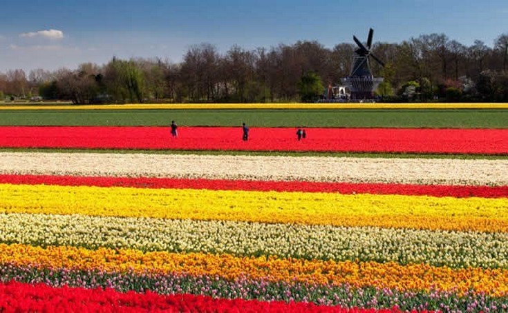 Πλειονότητα ή πλειοψηφία;