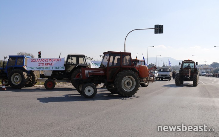 agrotkorop6 agrotkorop6