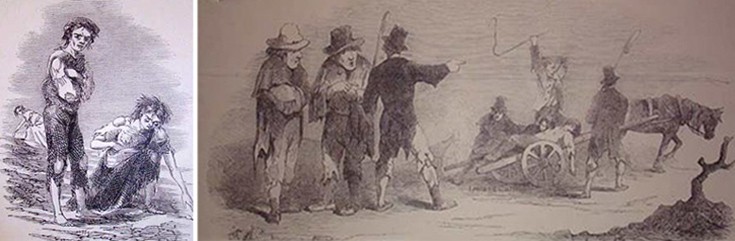 bburudiailldibnevv1b