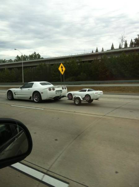 even_a_boring_daily_commute_sometimes_has_bizarre_moments_like_these_640_19