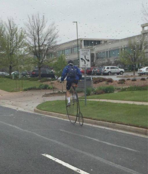 even_a_boring_daily_commute_sometimes_has_bizarre_moments_like_these_640_23