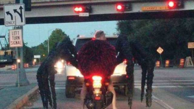 even_a_boring_daily_commute_sometimes_has_bizarre_moments_like_these_640_33