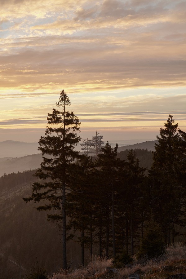 giant_slide_13 giant_slide_13