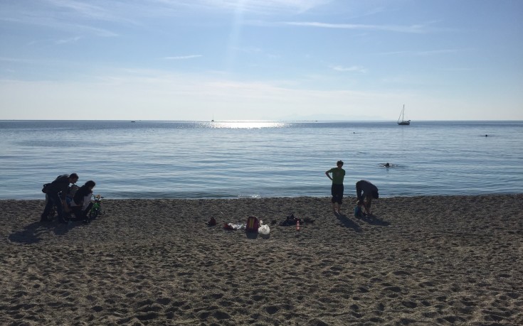 kalamaki03 kalamaki03