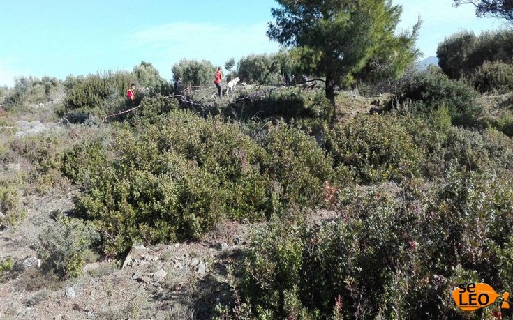 «Ντου» της ΕΛ.ΑΣ στο κρησφύγετο του Αλβανού που απήγαγε το γιο του