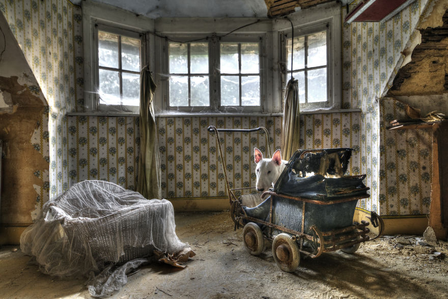 me-and-my-dog-explore-abandoned-places-across-europe-10__880 me-and-my-dog-explore-abandoned-places-across-europe-10__880