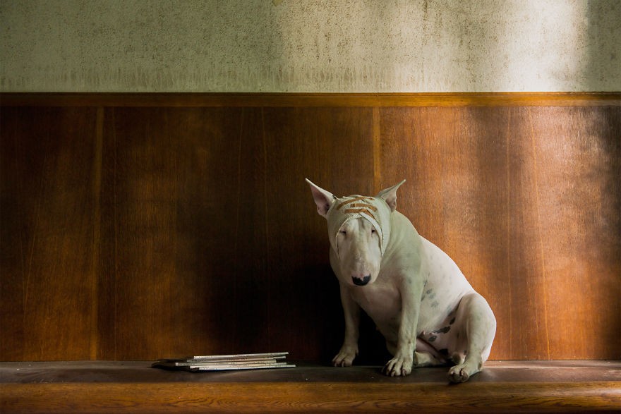 me-and-my-dog-explore-abandoned-places-across-europe-3__880 me-and-my-dog-explore-abandoned-places-across-europe-3__880