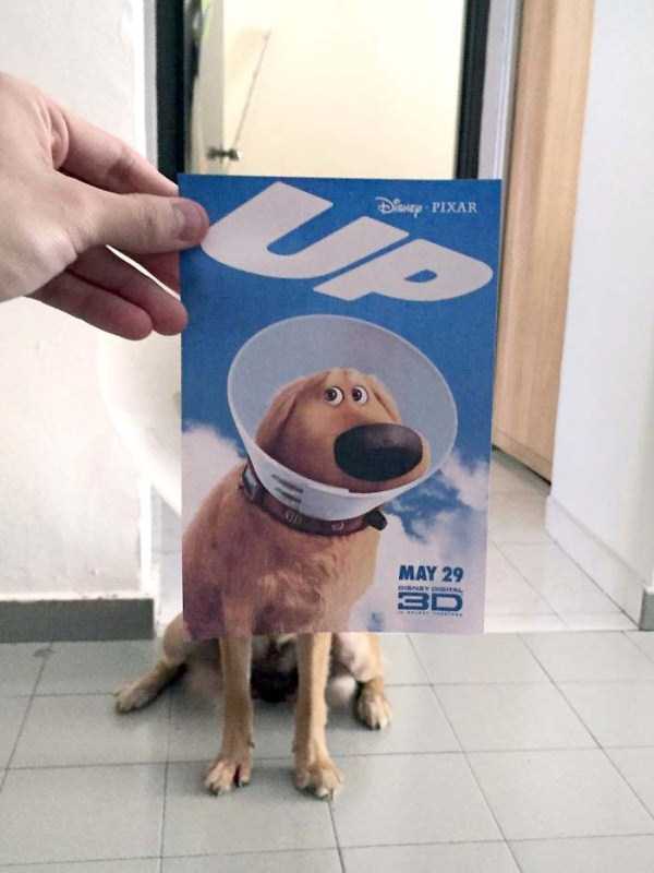 movie-posters-mixed-with-reality-10