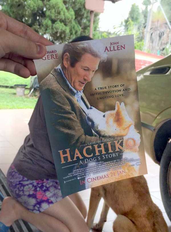 movie-posters-mixed-with-reality-6