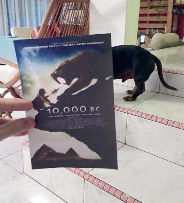 movie-posters-mixed-with-reality-7