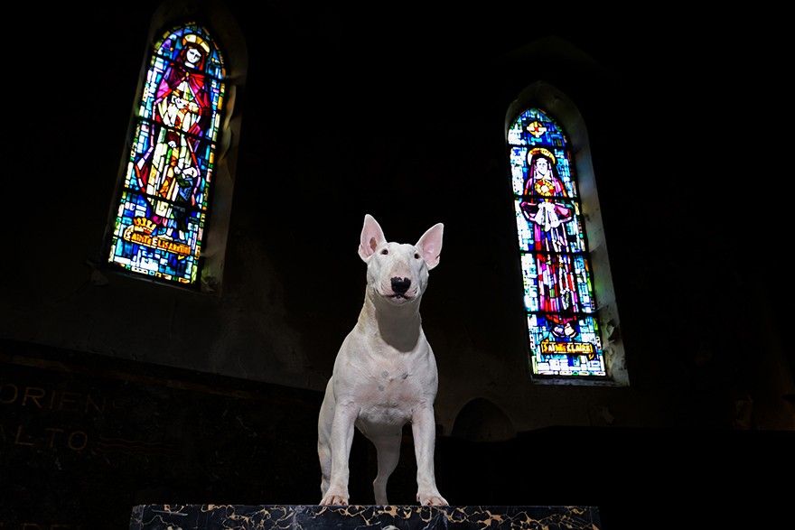 my-urbex-adventures-with-claire1 my-urbex-adventures-with-claire1