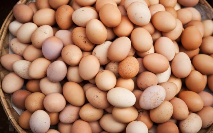 Μολυσμένα αβγά σε 15 ευρωπαϊκές χώρες