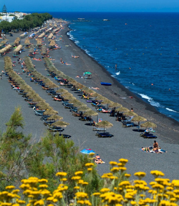 paralies13 paralies13