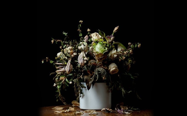 photogenic5 photogenic5