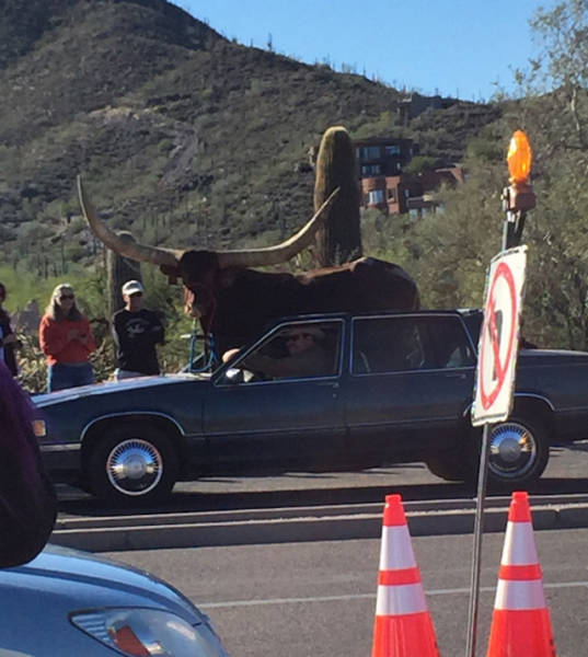 this_is_just_another_ordinary_day_on_the_streets_640_04