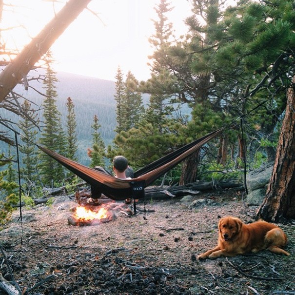 traveling-dog-aspen-the-mountain-pup-instagram-6