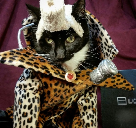 tumblr_o17s9o4NLY1rhz81io1_540