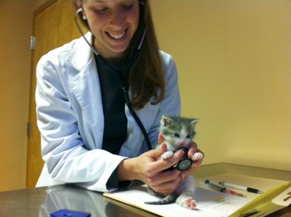 working-at-an-animal-hospital-has-its-perks-22-photos-10