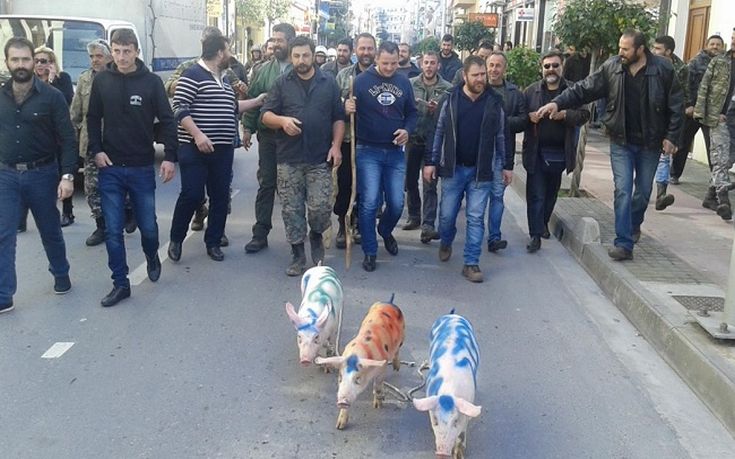 Γουρούνια στην κεφαλή πορείας αγροτών