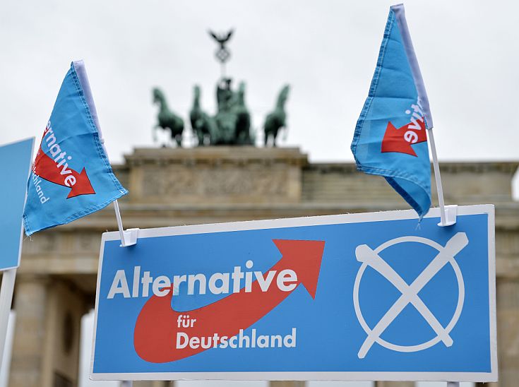 Η γερμανική κυβέρνηση καταδικάζει τις ρατσιστικές δηλώσεις του αντιπροέδρου του AfD