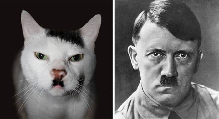 celebs_similar_animal_doppelgangers_03
