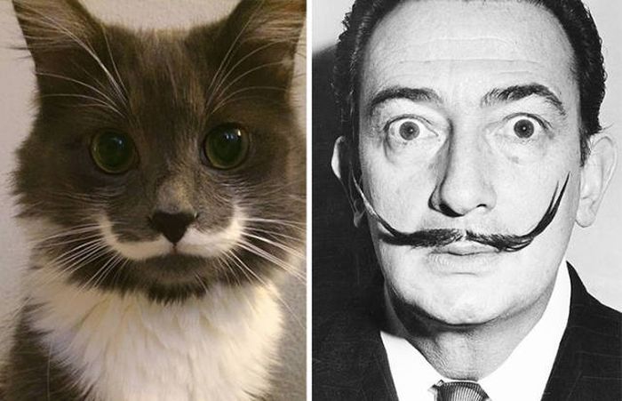 celebs_similar_animal_doppelgangers_06