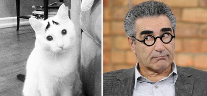 celebs_similar_animal_doppelgangers_10