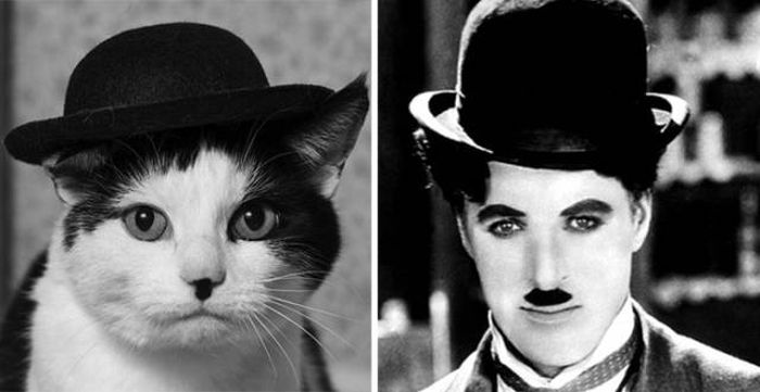 celebs_similar_animal_doppelgangers_14