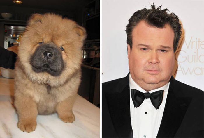 celebs_similar_animal_doppelgangers_27