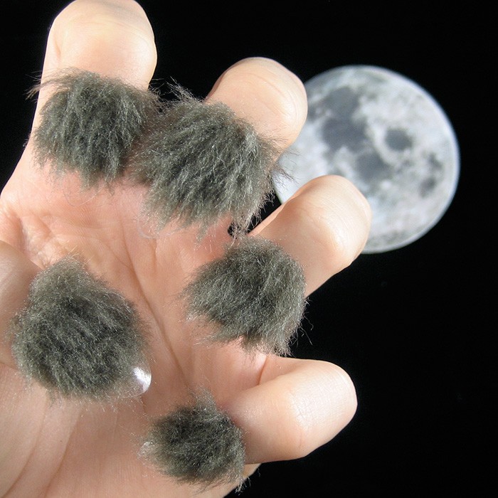 fur-nails-21__700 fur-nails-21__700
