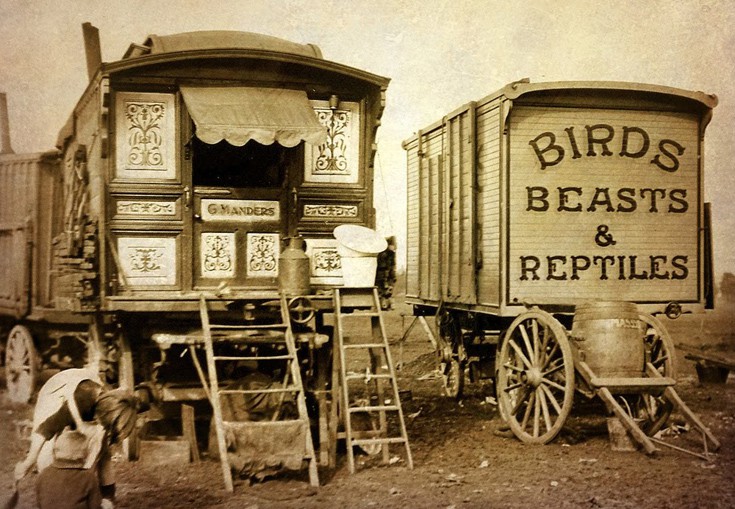 mmrmtinnommcococ4 mmrmtinnommcococ4