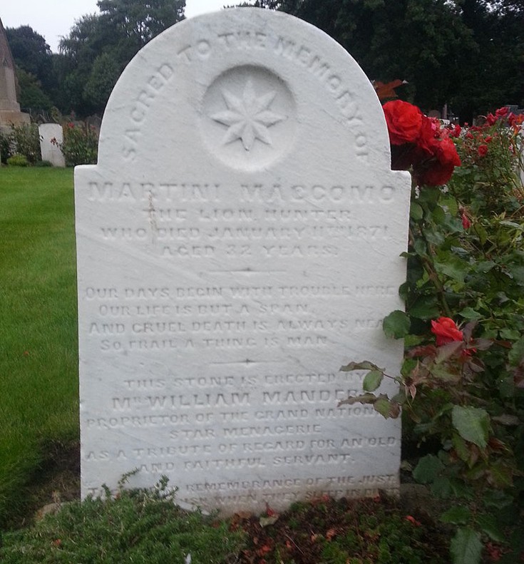 mmrmtinnommcococ9 mmrmtinnommcococ9