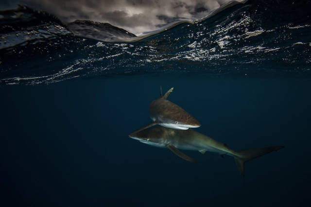 most_breathtaking_overunder_shots_ever_640_35