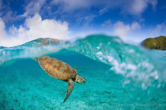 most_breathtaking_overunder_shots_ever_640_50