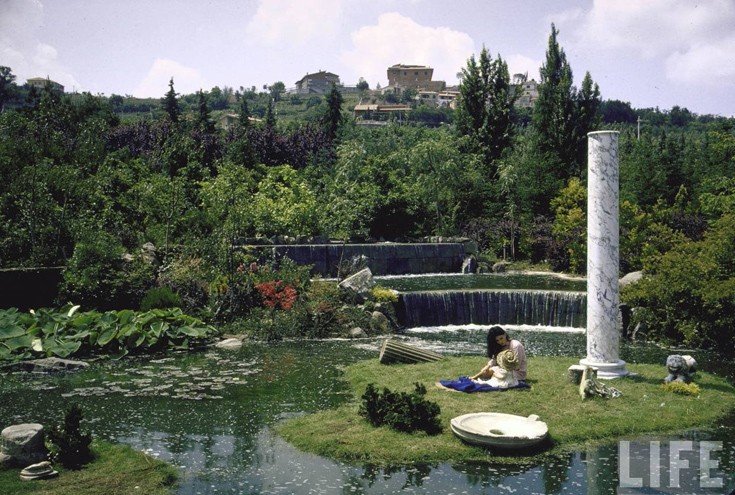 soapsdafdh12 soapsdafdh12