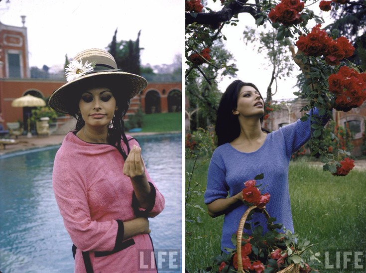 soapsdafdh6 soapsdafdh6