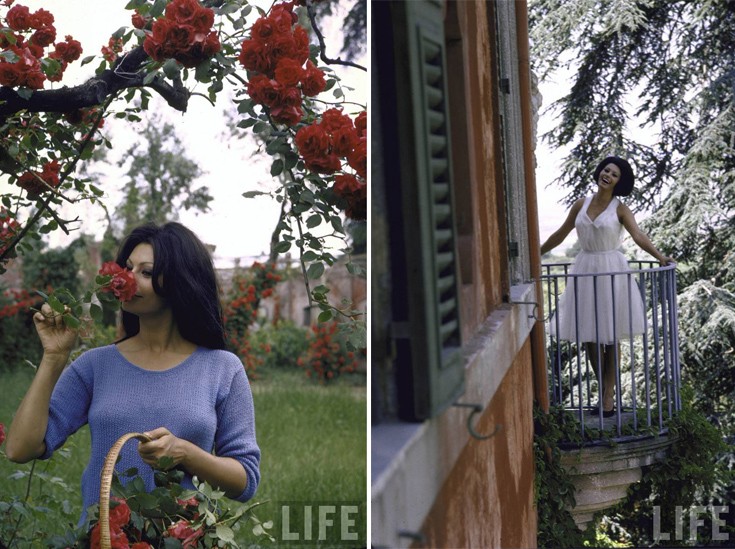 soapsdafdh7 soapsdafdh7