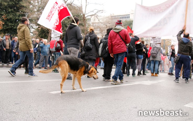 suyashoame6 suyashoame6