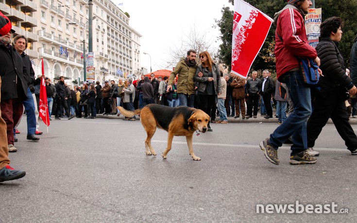 suyashoame7 suyashoame7