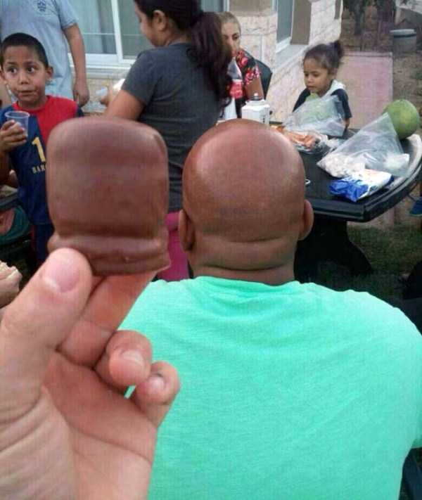 things-that-look-like-other-things-1