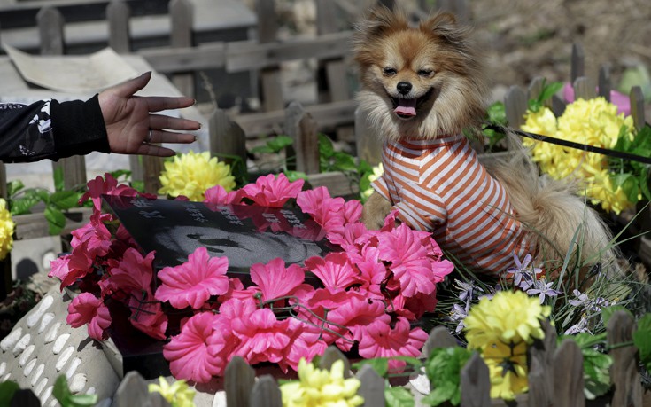 CHINARELIGIONTOMBS2 CHINARELIGIONTOMBS2