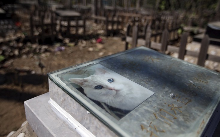 CHINARELIGIONTOMBS8 CHINARELIGIONTOMBS8