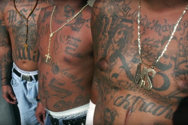 Γιατί τα μέλη των καρτέλ ναρκωτικών είναι γεμάτοι τατουάζ;