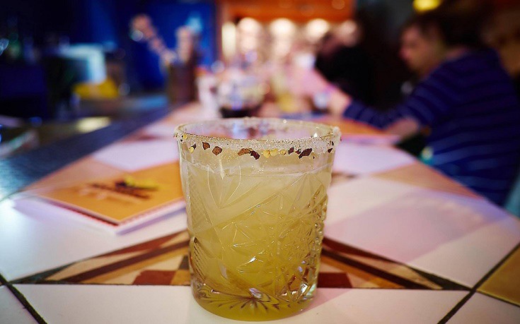 dos_agaves2 dos_agaves2