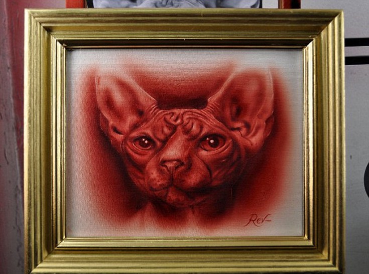 jjasdman10 jjasdman10